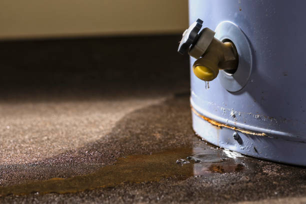 Best 24-hour water damage restoration  in Brockport, NY