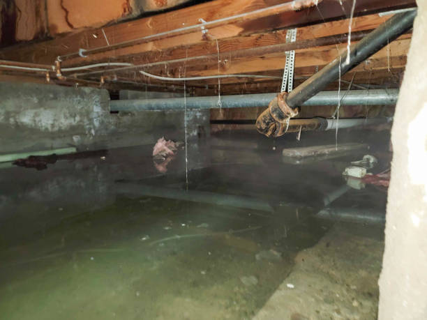 Best Fire Damage Restoration  in Brockport, NY