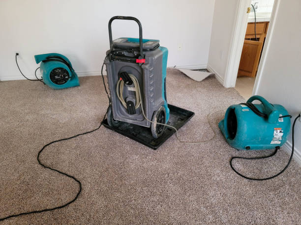 Best Water damage restoration services  in Brockport, NY