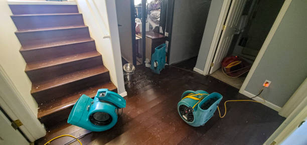 Best Ceiling water damage repair  in Brockport, NY