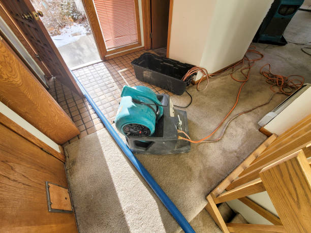 Best Commercial water damage restoration  in Brockport, NY