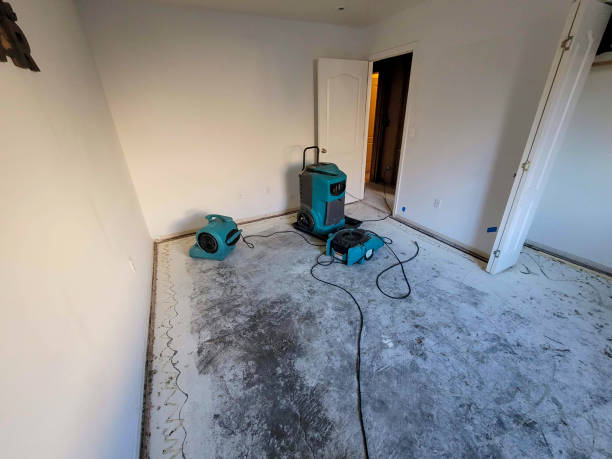 Best Flood damage cleanup  in Brockport, NY