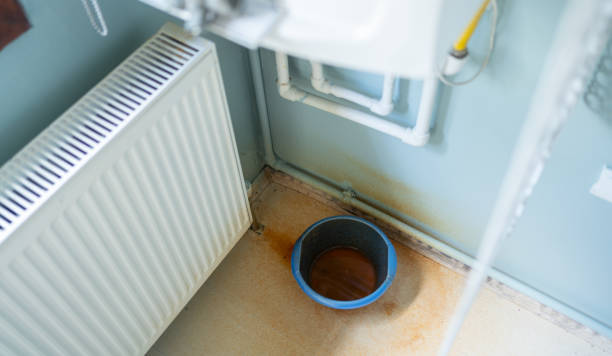 Best Water damage restoration experts  in Brockport, NY