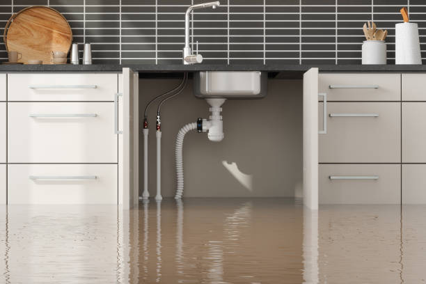 Best Professional water damage repair  in Brockport, NY